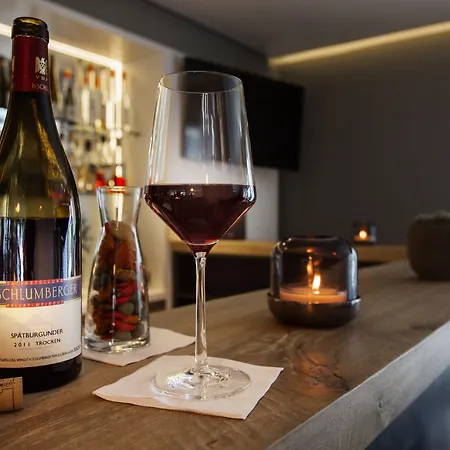 The Alex Otel Freiburg im Breisgau