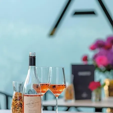 埃里克斯酒店